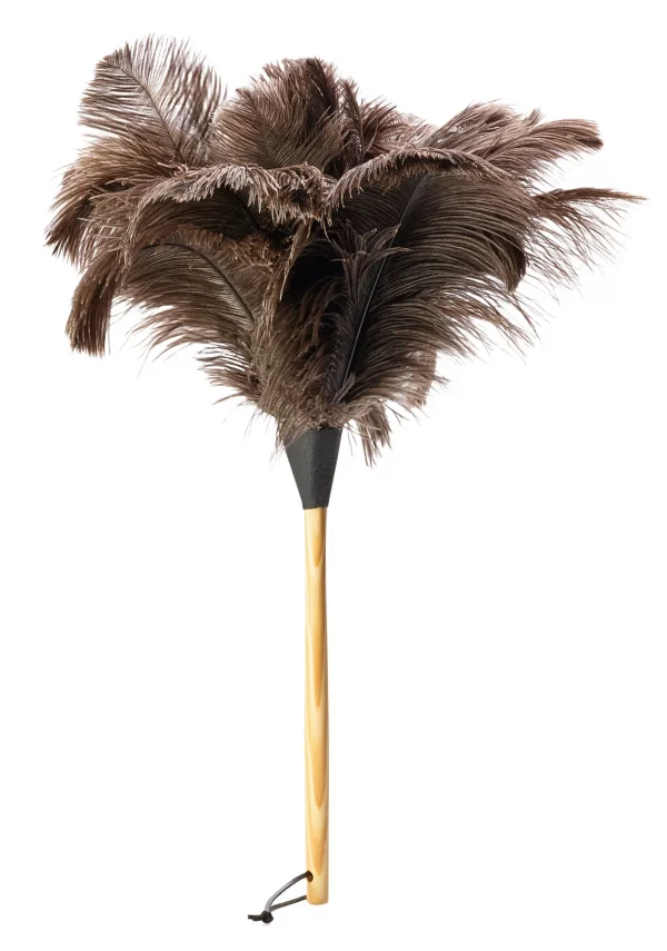 feather duster